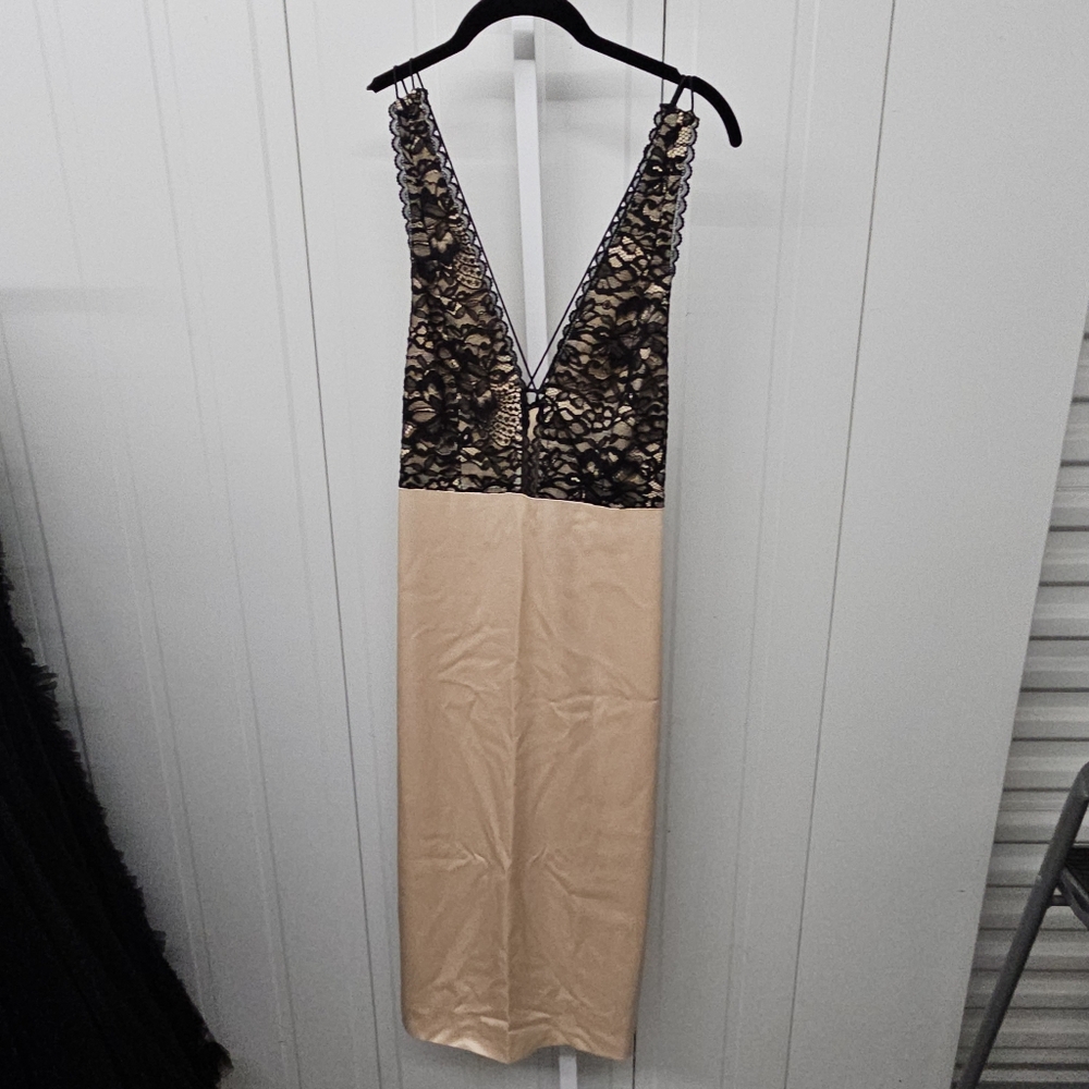 Sepia black dress
